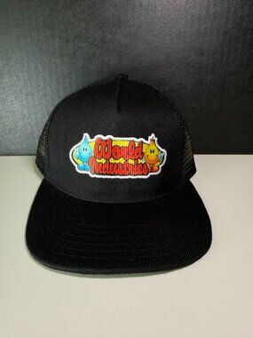 World Industries Snapback Cap Youth One Size Black Flame Logo